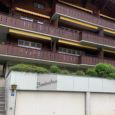 Luxury, New - Amazing Views Grindelwald Eiger Jungfrau Moench Apartment Luaran gambar