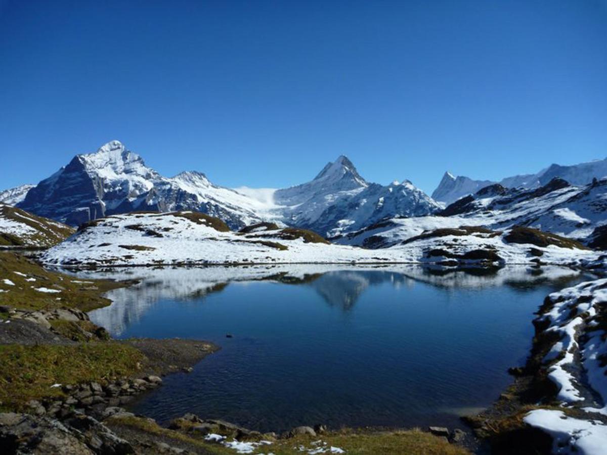Luxury, New - Amazing Views Grindelwald Eiger Jungfrau Moench Apartment Luaran gambar