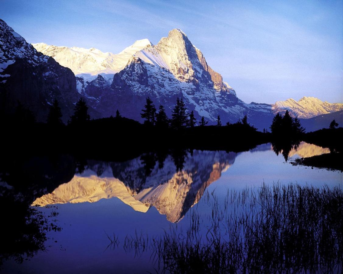 Luxury, New - Amazing Views Grindelwald Eiger Jungfrau Moench Apartment Luaran gambar